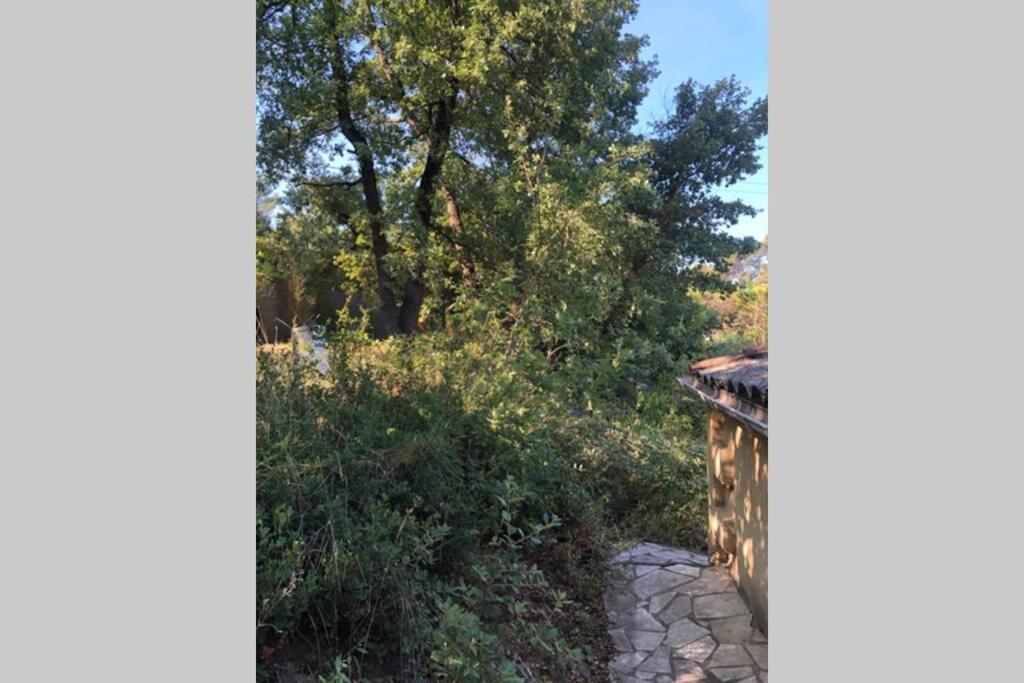 L'Escapade. Entre Aix Et Marseille, Studio Pleine Nature. Fuveau Luaran gambar